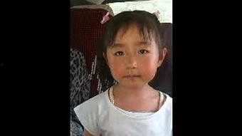 花心视频,揭秘现代爱情中的诱惑与抉择