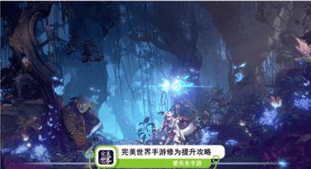 完美世界视频,一场视觉与心灵的奇幻之旅