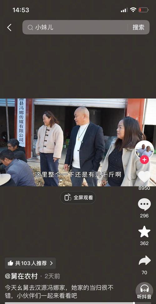 丁视频,揭秘科技前沿，畅游数字世界