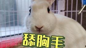 吃瓜爆料抖音网红搞笑,笑料百出引人捧腹