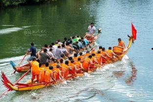 赛龙舟视频,共赏竞技风采