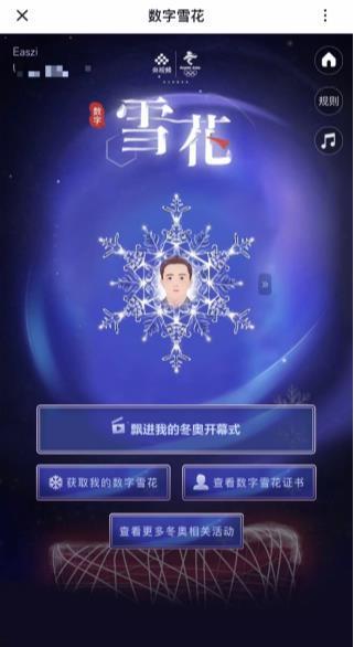 雪花在线视频免费观看,雪花在线视频免费观看，尽享海量精彩内容