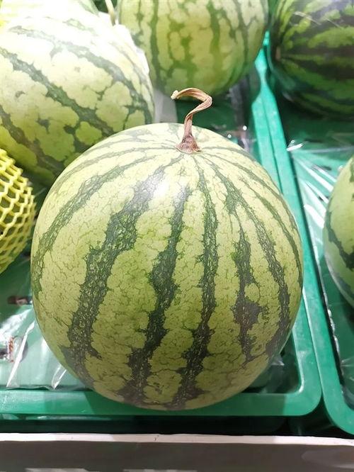 51今日吃瓜每日大瓜,揭秘娱乐圈最新大瓜，精彩纷呈等你来探