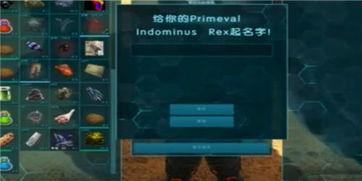 进化视频,揭秘生命演化的奥秘与奇迹