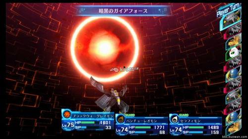 进化视频,揭秘生命演化的奥秘与奇迹