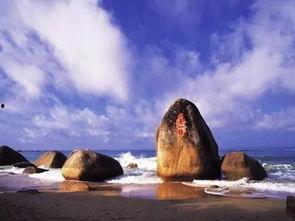 吃瓜海角黑料传媒,真相与争议并存