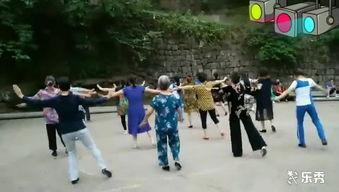 一广场舞视频,乐享晚年——广场舞视频精彩回顾