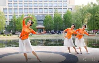 一广场舞视频,乐享晚年——广场舞视频精彩回顾