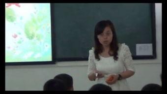 免费调教视频,轻松掌握高效训练技巧