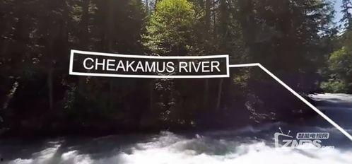 原始森林视频,自然奇观与生态奥秘的视觉之旅