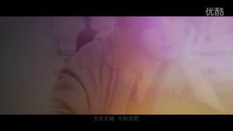 一级视频免费观看,免费观看一级视频的全新体验之旅